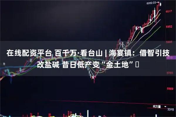 在线配资平台 百千万·看台山 | 海宴镇：借智引技改盐碱 昔日低产变“金土地”​